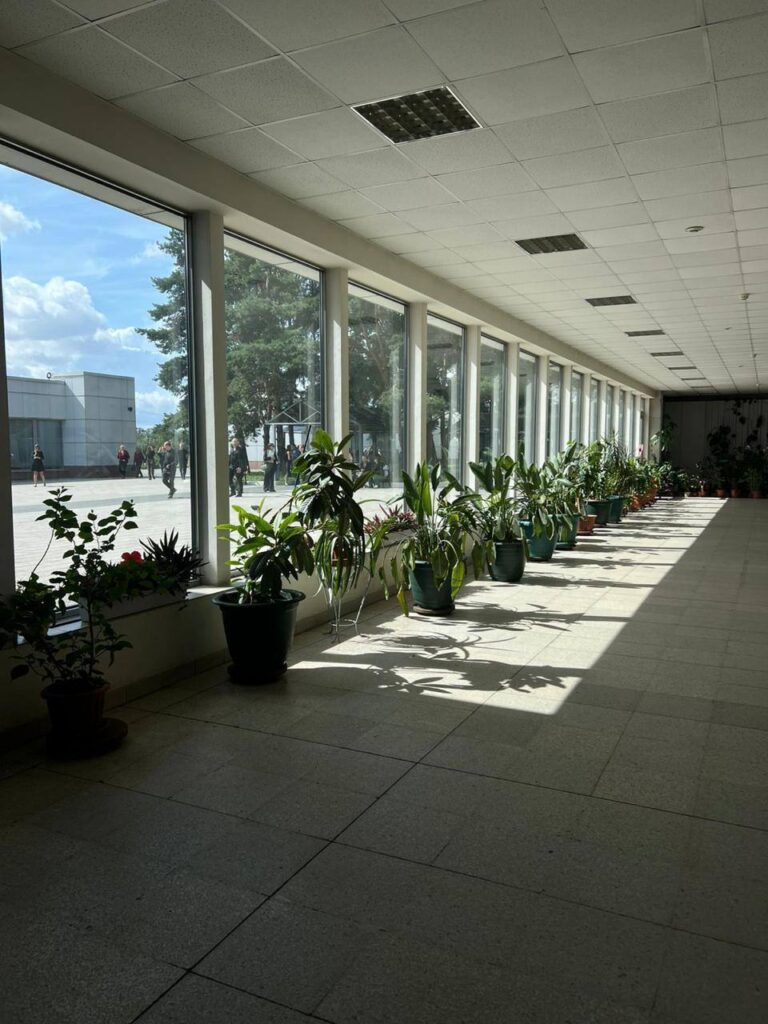 Галерея крематория